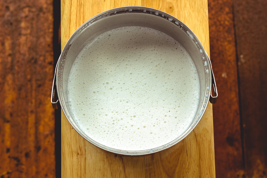 Goat milk in stainless steel pail sitting on top of stool.