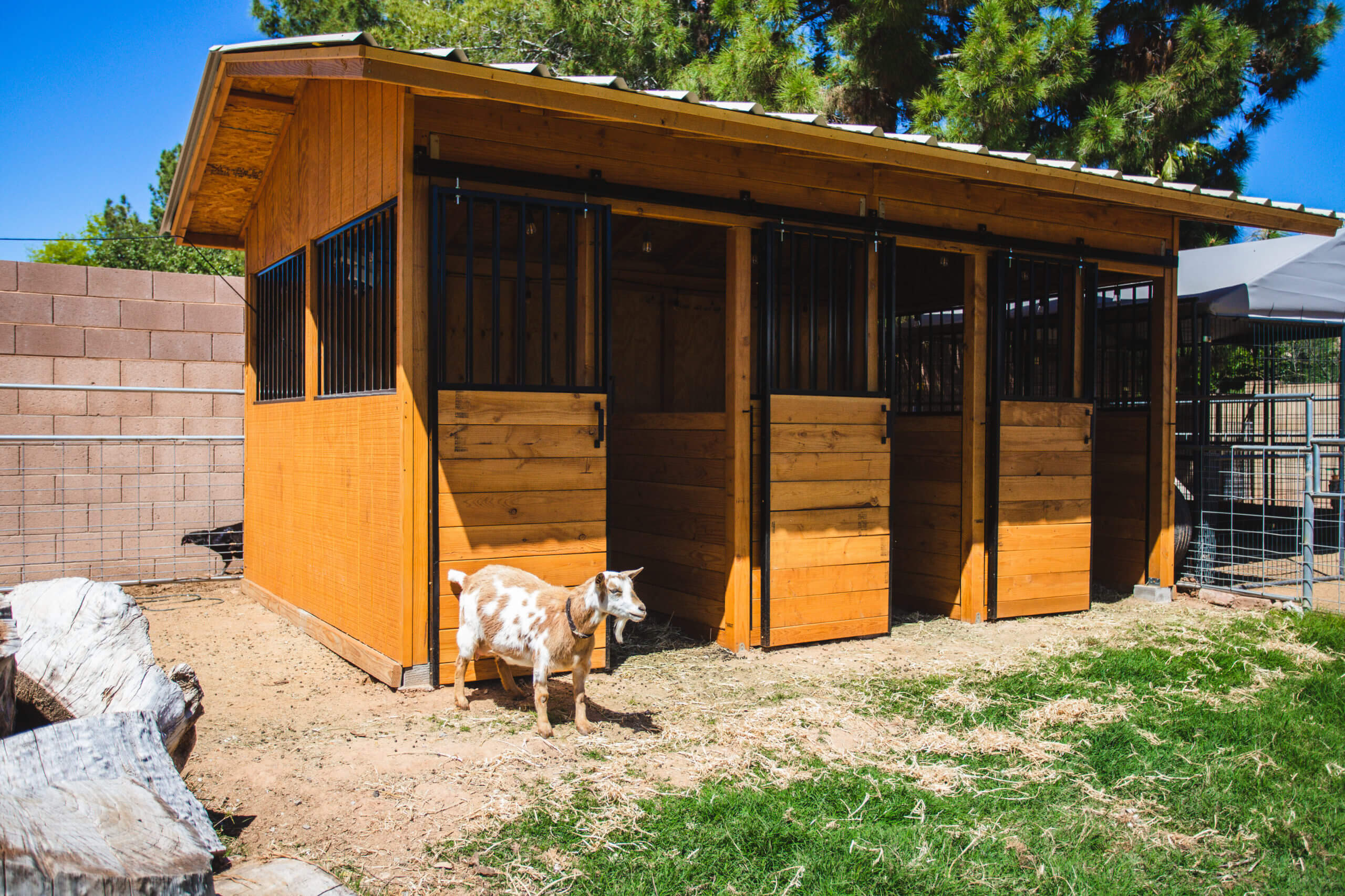 Our Custom Goat Barn Weed Em Reap