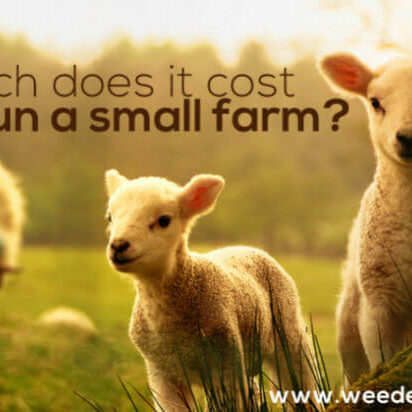 How much does it cost to run a small farm