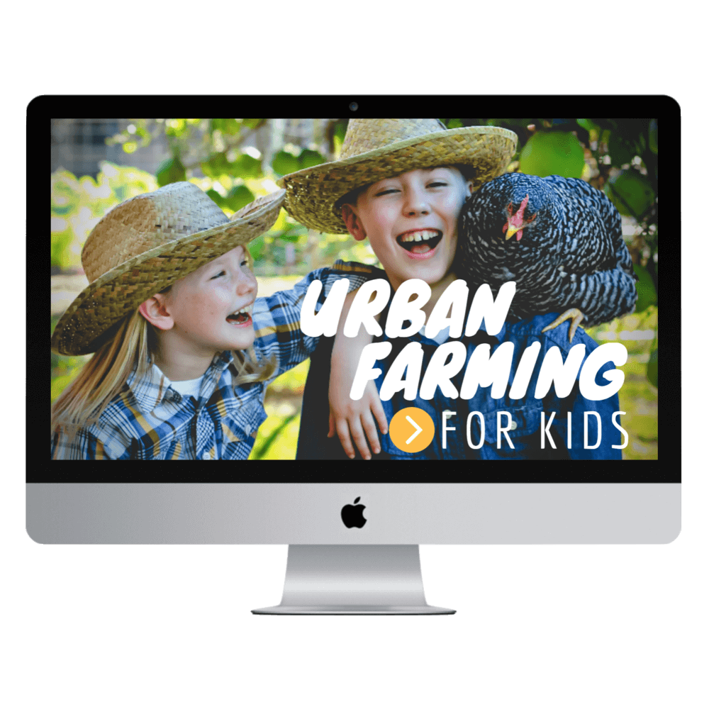 imac-urban-farming-kids