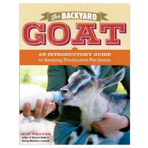 the-backyard-goat